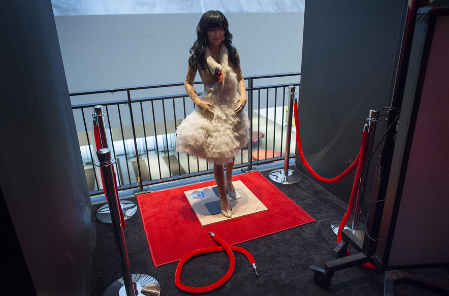 bjork_swan