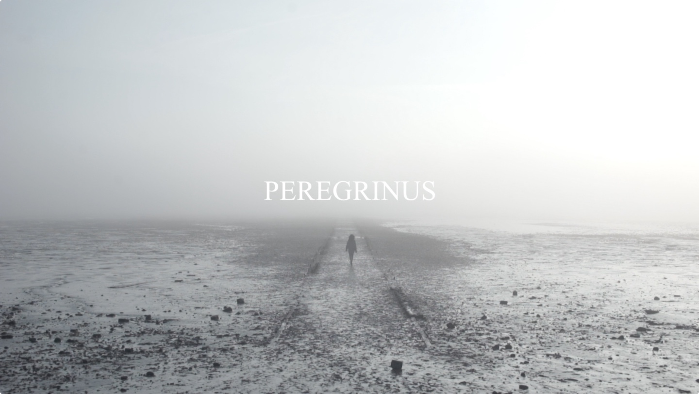 Ζωή Δημητρίου, Peregrinus