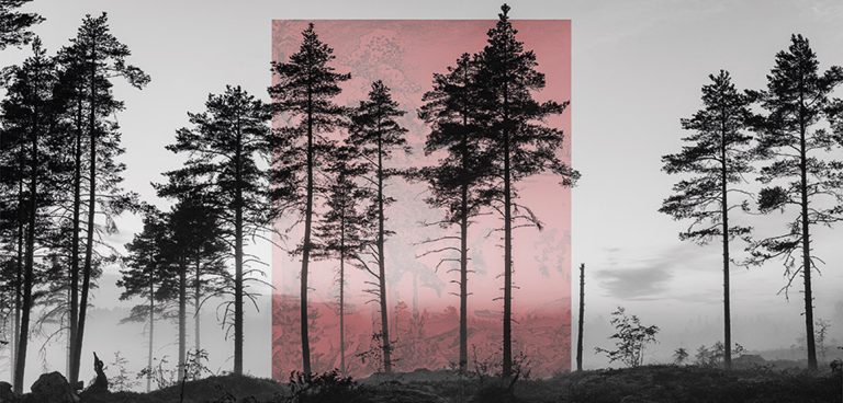 Εγκαίνια Athens Photo Festival 2018