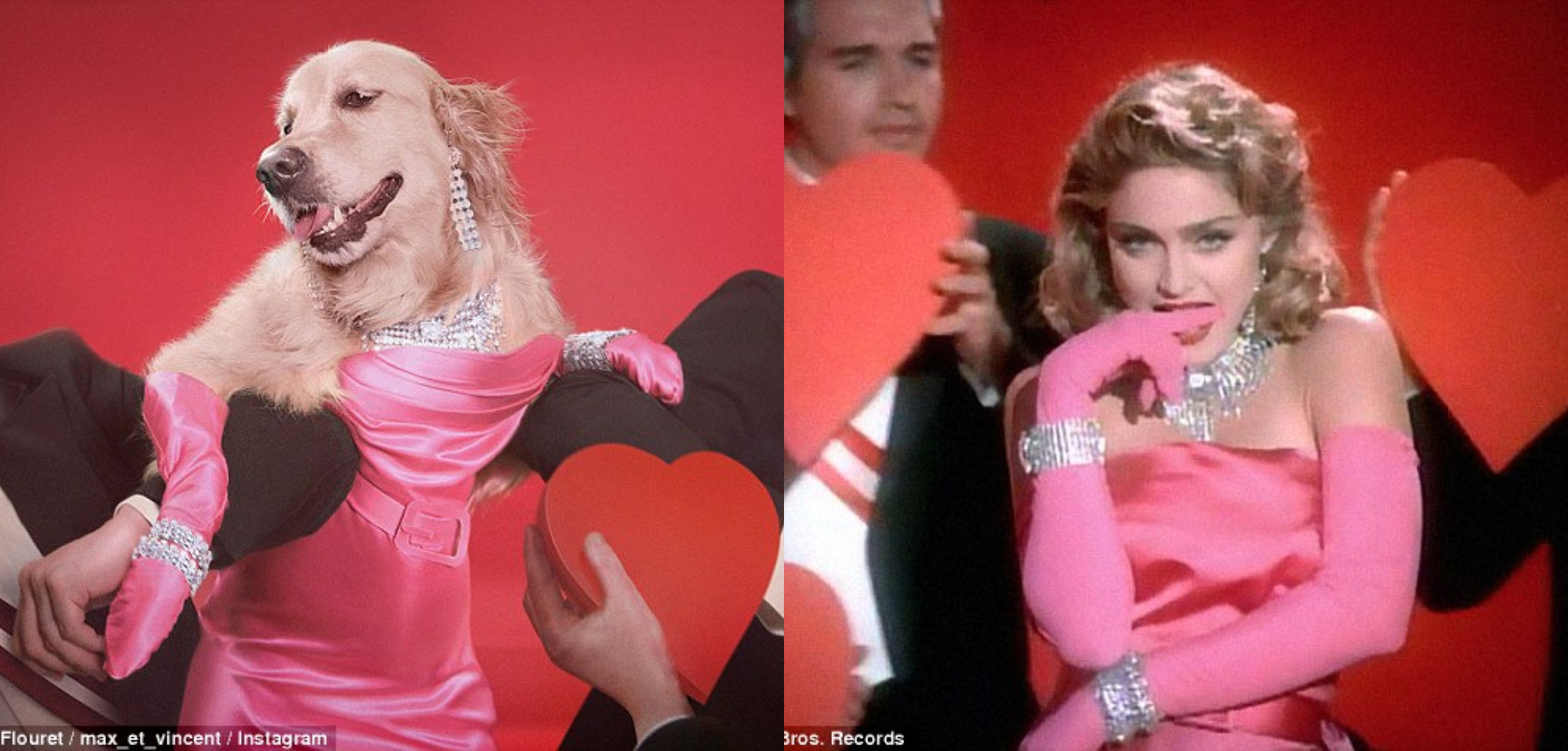 Ο Μαξ με ροζ στράπλες φόρεμα στο βίντεο του «Material Girl»