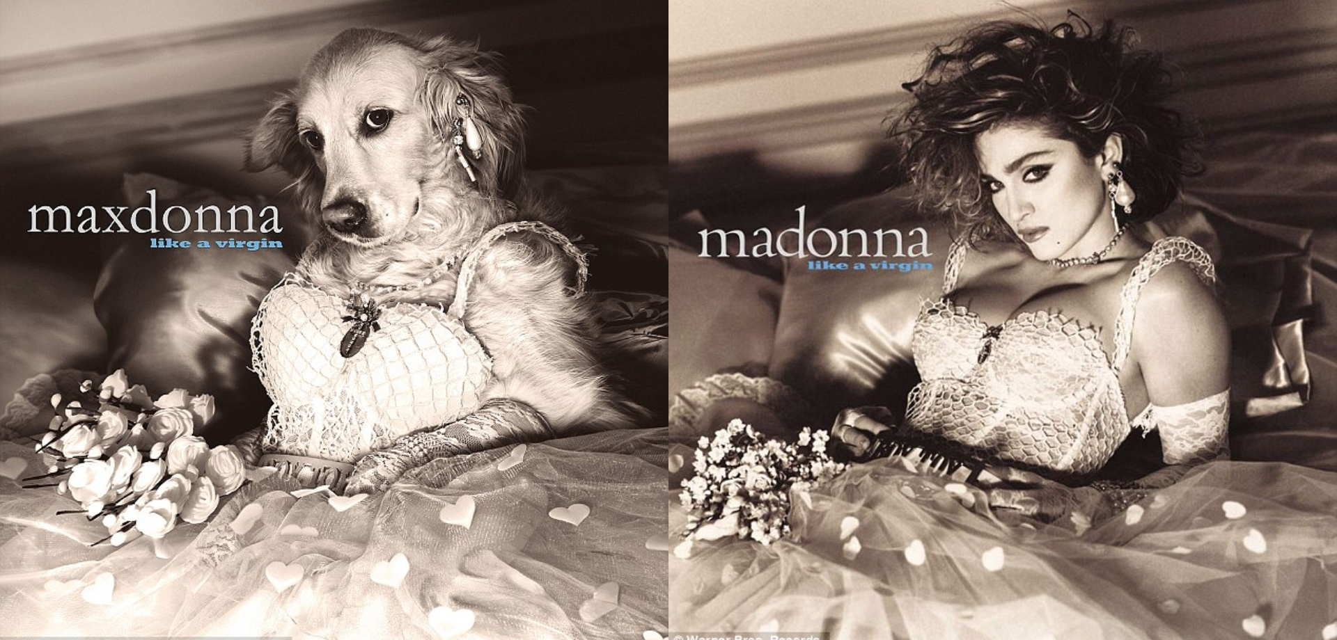 Ο Μαξ μιμείται τη Μαντόνα στο εξώφυλλο του δίσκου «Like a Virgin»