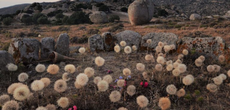 Κοινωνώ Tinos Art Gathering