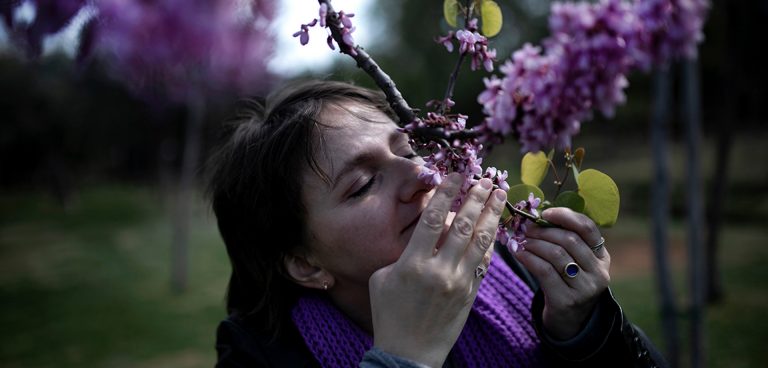 Eyes of Light