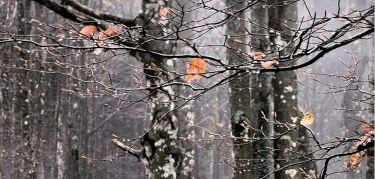 Κέλτικα και Σκανδιναβικά παραμύθια