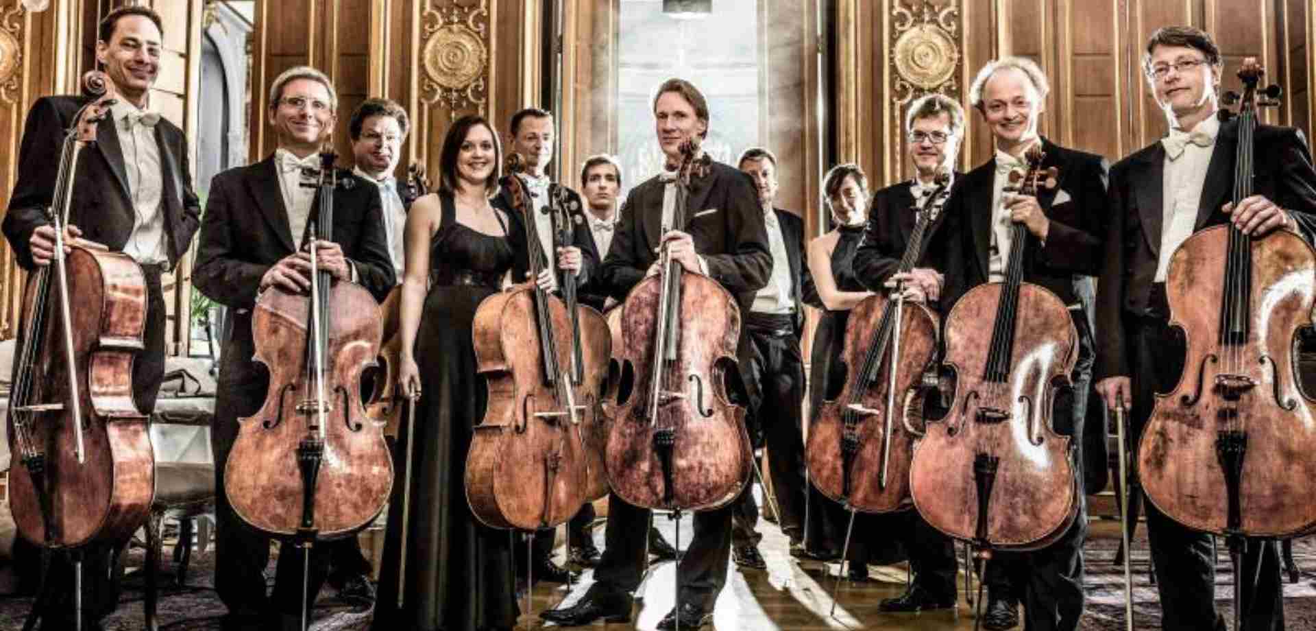 THE 12 CELLISTS