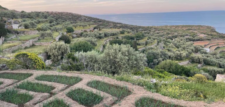 Μαθαίνοντας από την Πουλάτη Όχι Παίζουμε ΑΜΚΕ_UrbanDig Project (1)